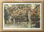 sht1051980243pw.jpg